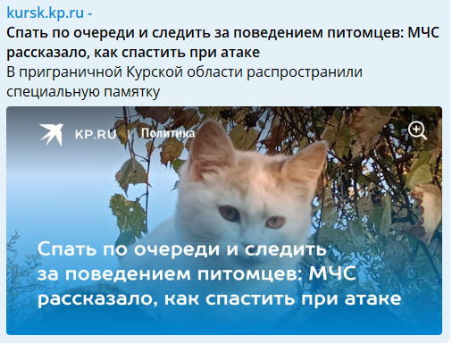 У ворога підгорає: Комсомольська правда РФ поширила пам’ятку МНС. Це треба бачити