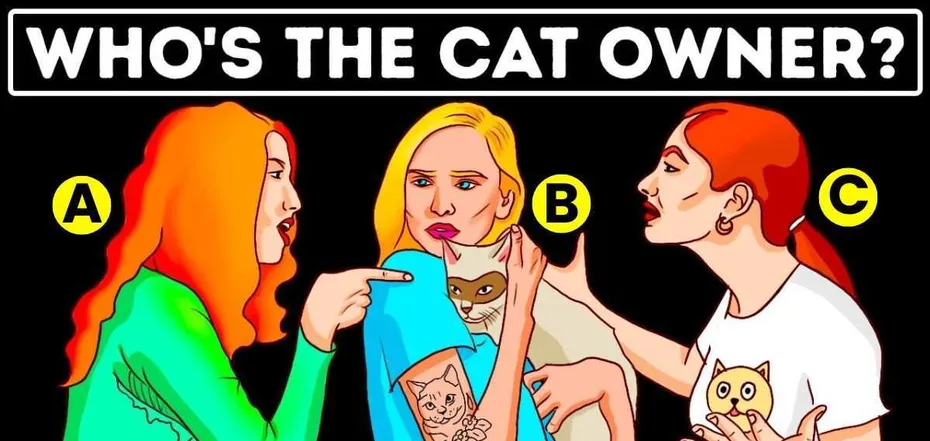 Who is the owner of the cat? A puzzle with an unexpected solution