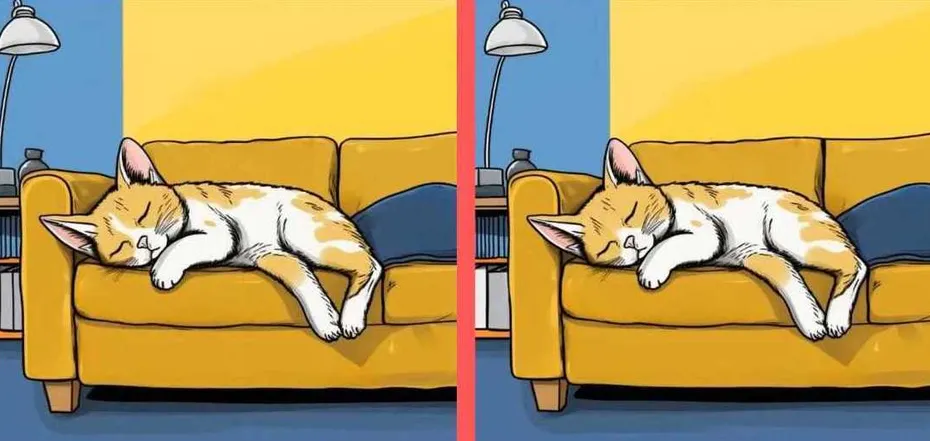 Spot the differences: a tricky mindfulness puzzle