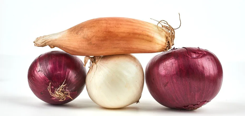 How to make sure onions stay fresh longer: the perfect place for storing is named